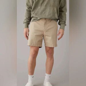 American Eagle Outfitters Tan Men's Shorts